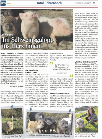minischweine-wurf-2017